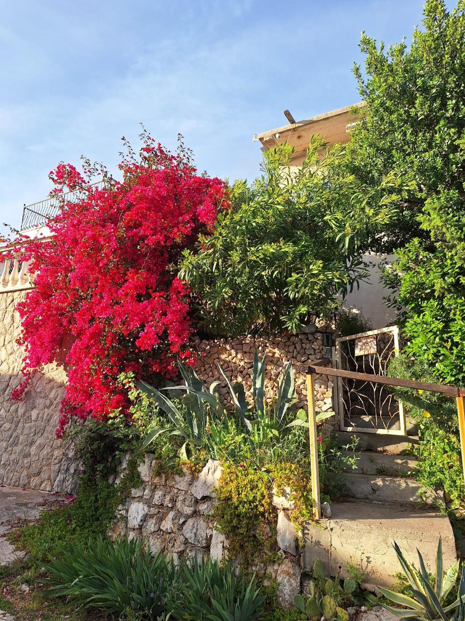 Sunnyday House Villa Masline Exterior photo